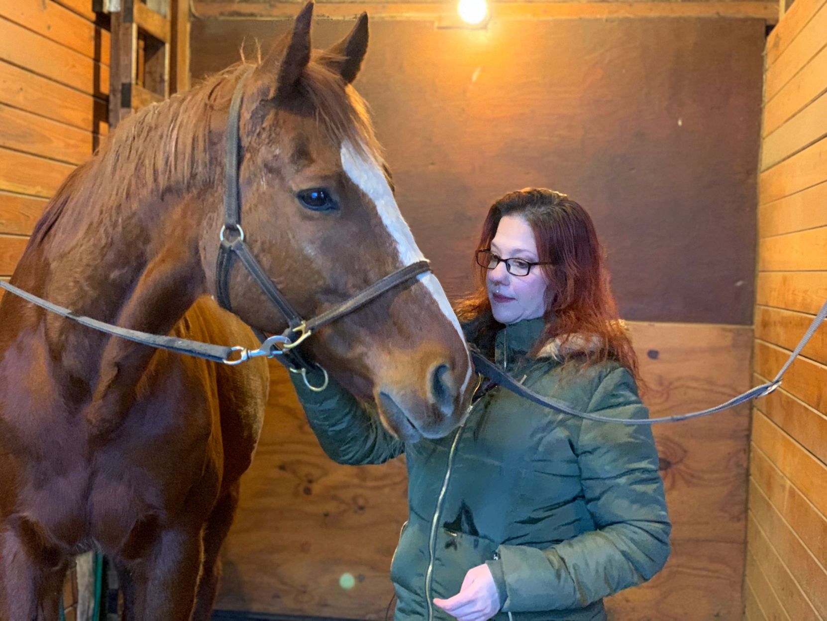 01-23-20 Pennsylvania Warhorse Horse and Woman.jpg